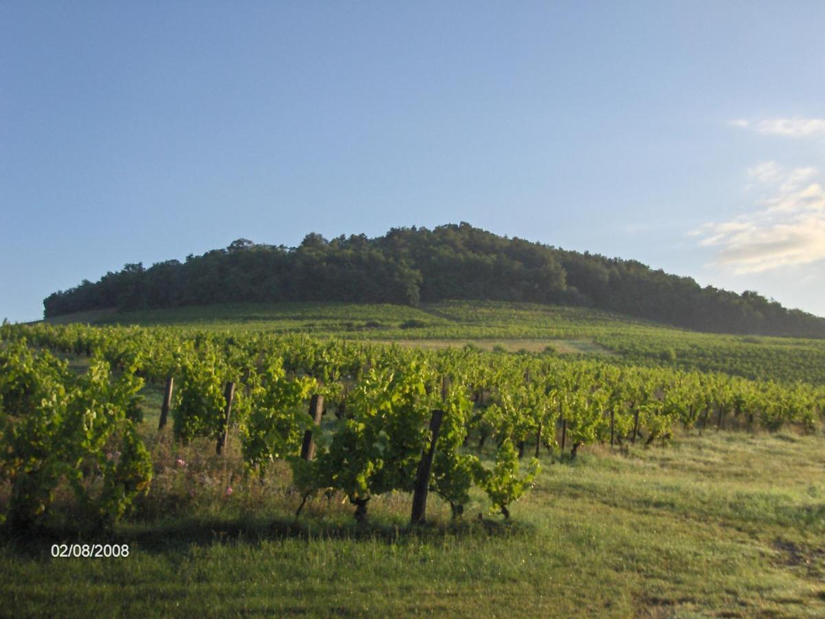 La Maison Du Vigneron * Ternand